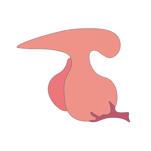 線粒體病基因檢測(cè)，基因解碼