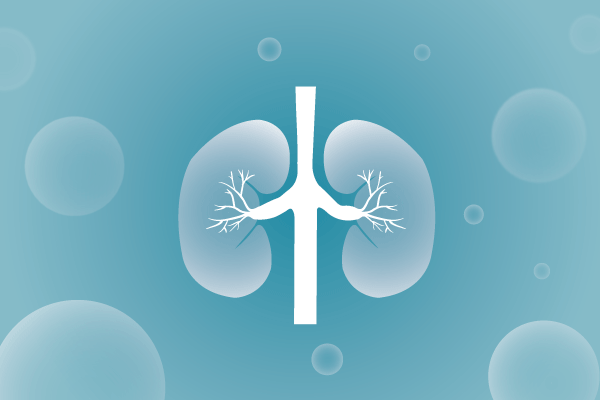 泌尿系統(tǒng)，腎臟，膀胱，尿病，腎不好遺傳病、基因病、罕見病的基因解碼，基因檢測(cè)，基因篩查與分子診斷