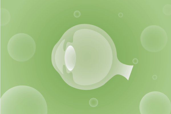 眼科，視光中心，眼科診所，眼睛相關(guān)遺傳病、基因病、罕見病的基因解碼，基因檢測(cè)，基因篩查與分子診斷