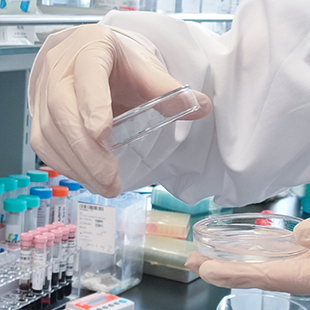 <b>基因解碼基因檢測招聘學(xué)術(shù)支持</b>