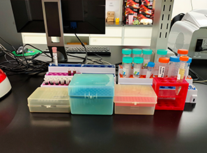 胰腺癌正確治療，四種類型四種方案