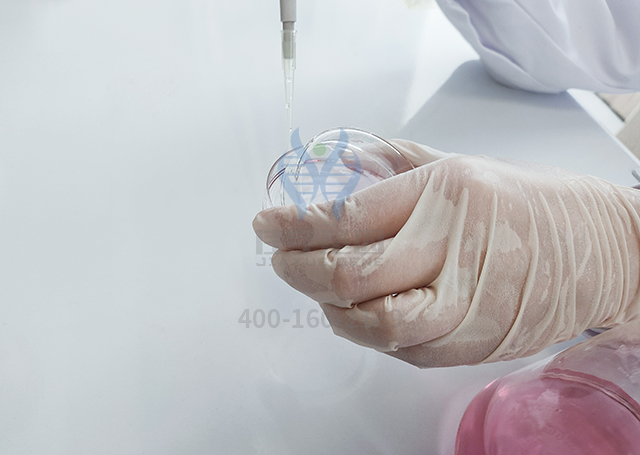 基因解碼揭密耳聾的發(fā)生過(guò)程中的基因信息