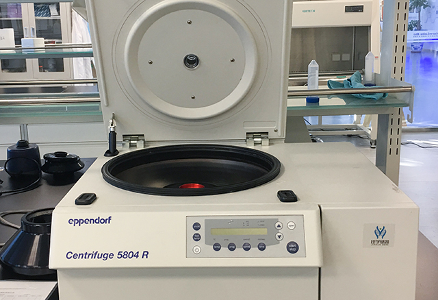 抑郁癥基因解碼，留住哥哥張國榮！