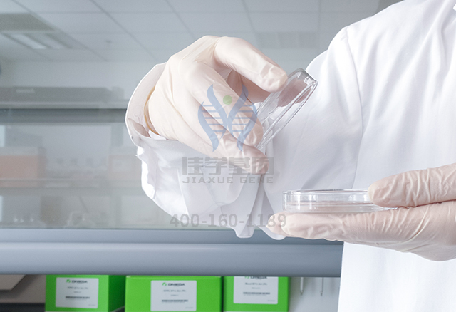 什么是正確營(yíng)養(yǎng)