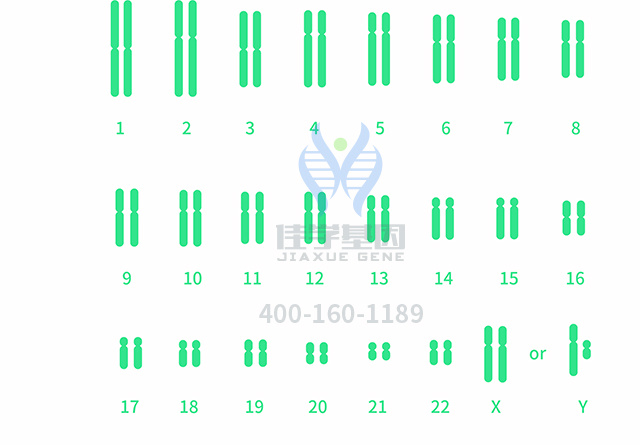 【佳學基因檢測】做多發(fā)性骨髓瘤易位1114型基因解碼、<a  data-cke-saved-href=http://hyjhsj.com/tk/jiema/cexujishu/2021/31933.html href=http://hyjhsj.com/tk/jiema/cexujishu/2021/31933.html>基因檢測</a>需要多少錢？