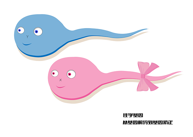 【佳學(xué)基因檢測】致死性侏儒基因解碼、<a href=http://hyjhsj.com/tk/jiema/cexujishu/2021/31933.html>基因檢測</a>可以只做<a href=http://hyjhsj.com/tk/jiema/cexujishu/2021/31933.html>基因檢測</a>嗎？