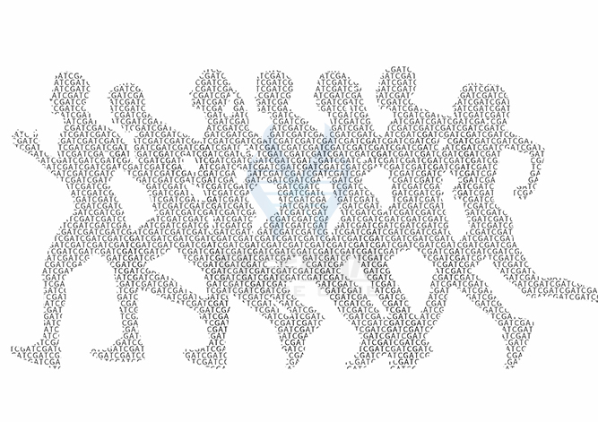 【佳學(xué)基因檢測(cè)】做皮質(zhì)酮甲基氧化酶缺乏基因解碼、<a href=http://hyjhsj.com/tk/jiema/cexujishu/2021/31933.html>基因檢測(cè)</a>需要到總部嗎？