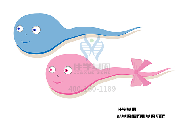 【佳學(xué)基因檢測(cè)】怎樣選擇A型尼曼-皮克病基因解碼、<a href=http://hyjhsj.com/tk/jiema/cexujishu/2021/31933.html>基因檢測(cè)</a>？