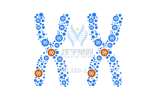 【佳學(xué)基因檢測(cè)】如何做<font color='red'><font color='red'>乳糖</font><font color='red'>不耐</font>癥</font>基因解碼、基因檢測(cè)？