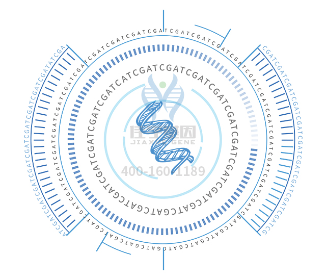 【佳學(xué)基因檢測】做Bj?rnstad綜合征基因解碼、<a  data-cke-saved-href=http://hyjhsj.com/tk/jiema/cexujishu/2021/31933.html href=http://hyjhsj.com/tk/jiema/cexujishu/2021/31933.html>基因檢測</a>方便嗎？