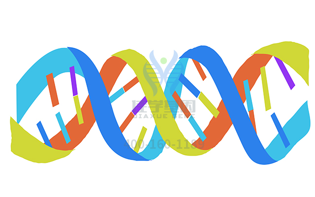 【佳學(xué)基因檢測】如何區(qū)分骨髓增生異常綜合癥基因解碼、<a href=http://hyjhsj.com/tk/jiema/cexujishu/2021/31933.html>基因檢測</a>？