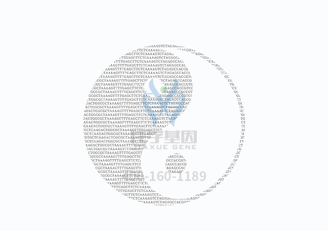 【佳學(xué)基因檢測(cè)】甲狀腺激素抵抗基因解碼、<a  data-cke-saved-href=http://hyjhsj.com/tk/jiema/cexujishu/2021/31933.html href=http://hyjhsj.com/tk/jiema/cexujishu/2021/31933.html>基因檢測(cè)</a>怎么預(yù)約解讀？