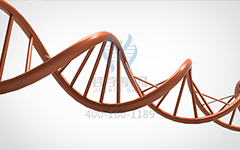 【佳學(xué)基因檢測】怎么做常染色體隱性廣泛性甲狀腺激素抵抗基因解碼、<a href=http://hyjhsj.com/tk/jiema/cexujishu/2021/31933.html>基因檢測</a>?