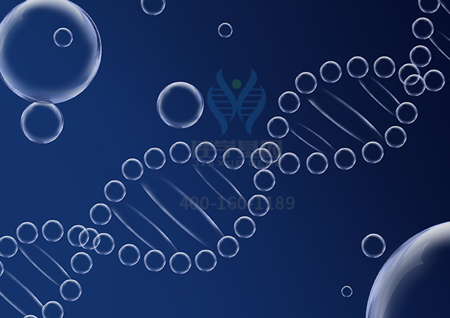 【佳學(xué)基因檢測(cè)】如何區(qū)分齒齦纖維瘤病伴多毛癥基因解碼、<a href=http://hyjhsj.com/tk/jiema/cexujishu/2021/31933.html>基因檢測(cè)</a>？