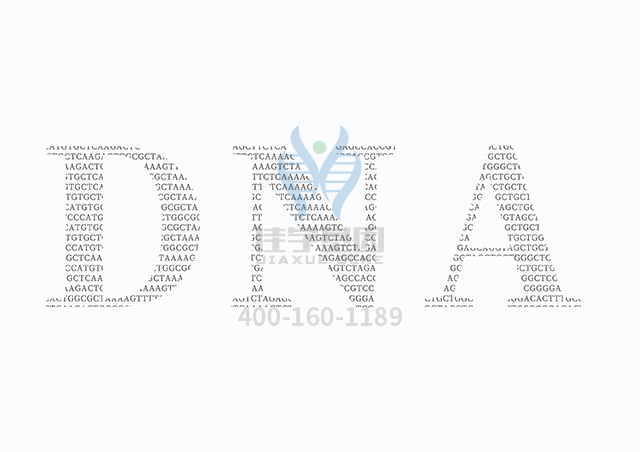 【佳學(xué)基因檢測(cè)】什么人要做由于ADA缺乏導(dǎo)致的SCID延遲發(fā)病型基因解碼、<a  data-cke-saved-href=http://hyjhsj.com/tk/jiema/cexujishu/2021/31933.html href=http://hyjhsj.com/tk/jiema/cexujishu/2021/31933.html>基因檢測(cè)</a>？