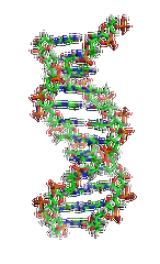 【佳學(xué)基因檢測】眼皮膚白化病4型基因解碼、<a href=http://hyjhsj.com/tk/jiema/cexujishu/2021/31933.html>基因檢測</a>的報告有人解讀嗎？