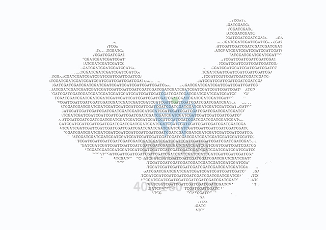 【佳學基因檢測】SDHB相關疾病基因解碼、<a href=http://hyjhsj.com/tk/jiema/cexujishu/2021/31933.html>基因檢測</a>可以只做基因解碼嗎？