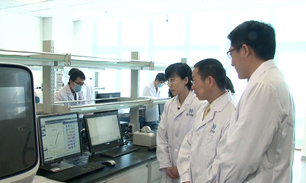 【佳學(xué)基因檢測】如何做骨肉瘤基因解碼、<a href=http://hyjhsj.com/tk/jiema/cexujishu/2021/31933.html>基因檢測</a>？