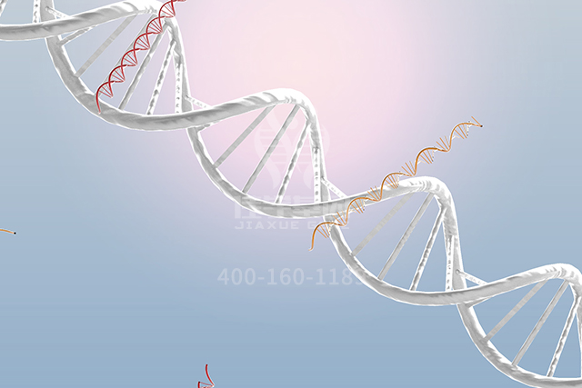 <b>【喜訊】胚胎植</b>