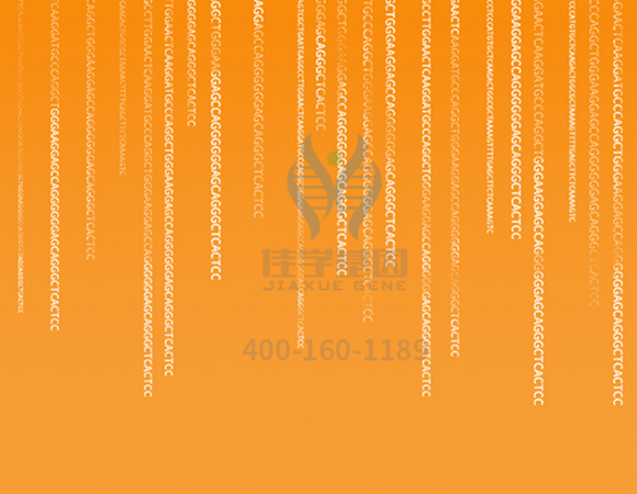 【佳學(xué)基因解碼-<a href=http://hyjhsj.com/tk/jiema/cexujishu/2021/31933.html>基因檢測(cè)</a>】這些舉動(dòng)竟讓<font color='red'>脫發(fā)</font>的女孩們重拾自信！