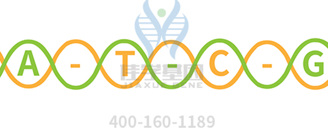 【佳學(xué)基因檢測(cè)】根本?。∟emoto disease)基因解碼、<a href=http://hyjhsj.com/tk/jiema/cexujishu/2021/31933.html>基因檢測(cè)</a>