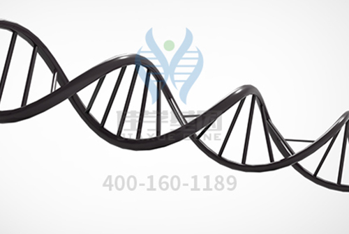 【佳學(xué)基因檢測】<font color='red'>VLDL</font>R相關(guān)小腦發(fā)育不全基因解碼搞清23種病，你還在用<a href=http://hyjhsj.com/tk/jiema/cexujishu/2021/31933.html>基因檢測</a>？