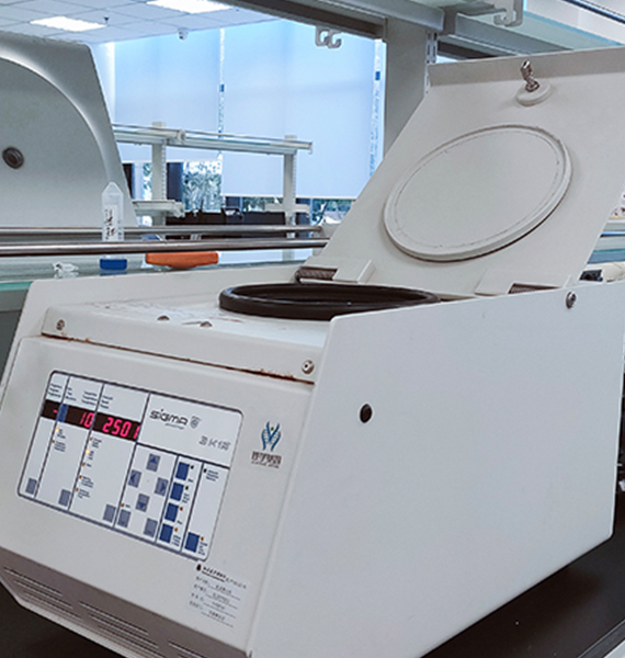 【佳學(xué)基因檢測】斯塔加特黃斑變性?。?lt;font color='red'><font color='red'>stargardt</font></font> macular degeneration)基因解碼、<a href=http://hyjhsj.com/tk/jiema/cexujishu/2021/31933.html>基因檢測</a>