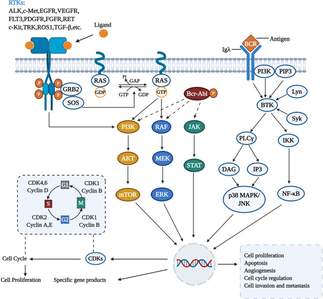 An external file that holds a picture, illustration, etc.
Object name is 41392_2021_572_Fig2_HTML.jpg