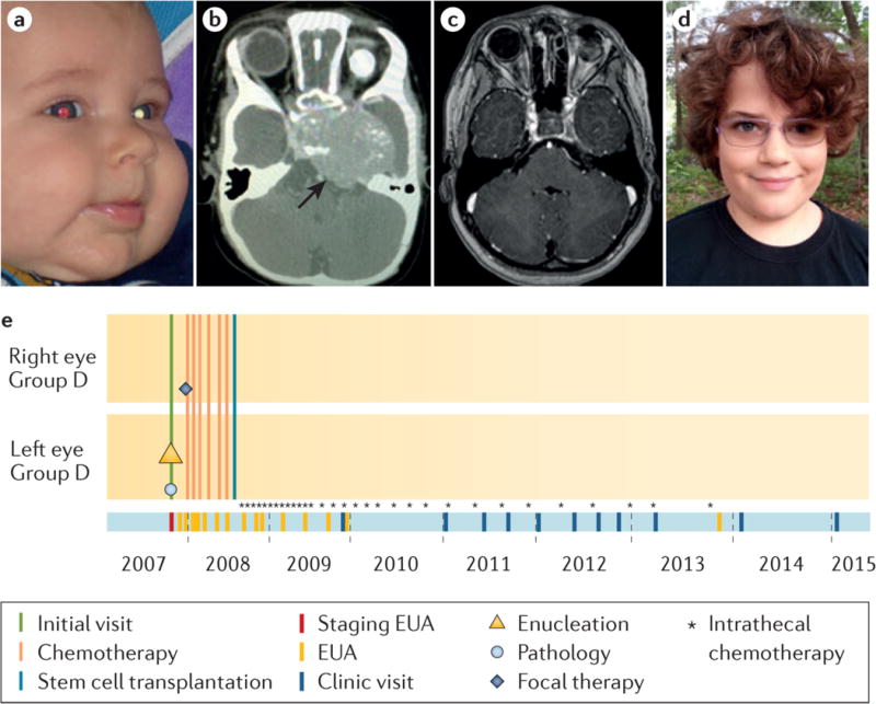 An external file that holds a picture, illustration, etc.
Object name is nihms928879f5.jpg