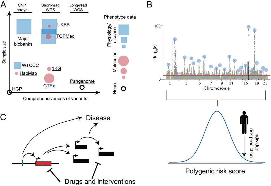 人類(lèi)基因解碼數(shù)據(jù)集及其作用