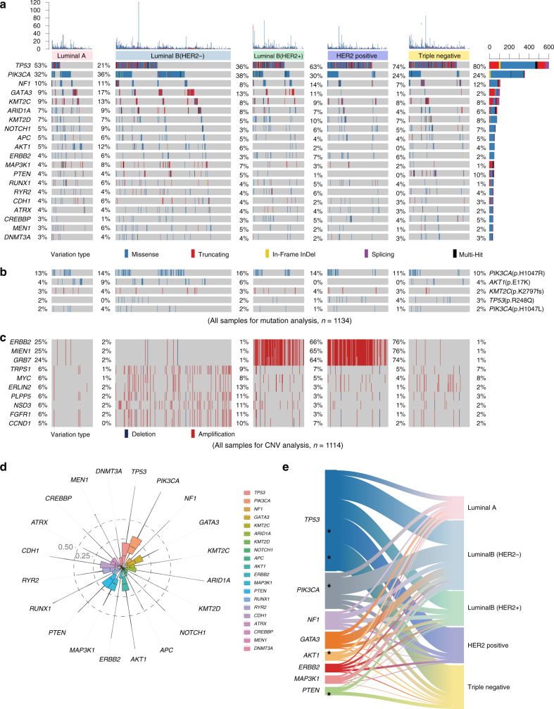 圖2:醫(yī)學(xué)基因檢測(cè)如何幫助乳腺癌患者找到靶向藥物？02