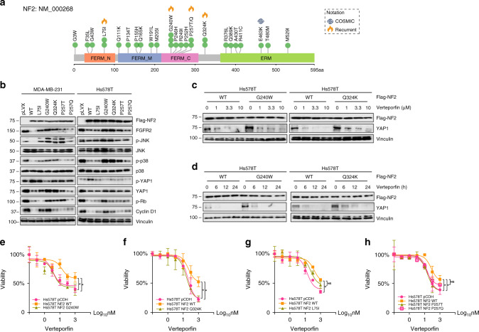圖6醫(yī)學(xué)基因檢測(cè)如何幫助乳腺癌患者找到靶向藥物？