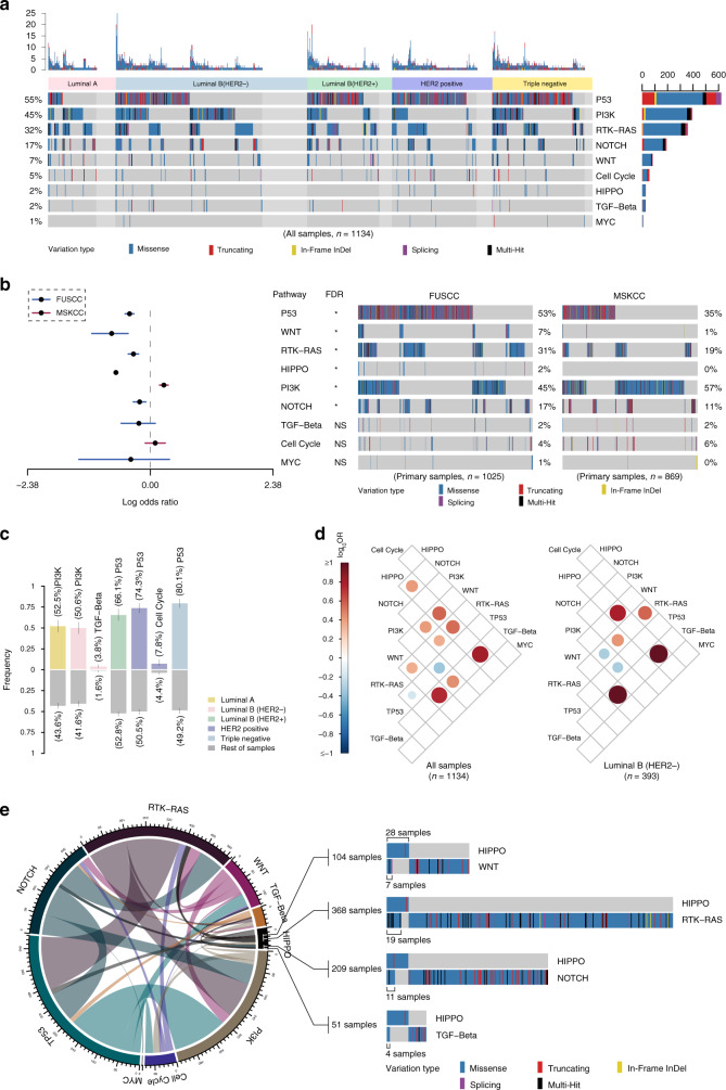 圖4醫(yī)學(xué)基因檢測(cè)如何幫助乳腺癌患者找到靶向藥物？