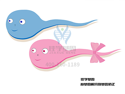 病例分析會中需要知道的關(guān)于CDKN2A基因的知識