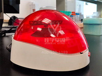 藥房主任如何詢問關(guān)于COX6B1P2的疾病風(fēng)險(xiǎn)評(píng)估知識(shí)