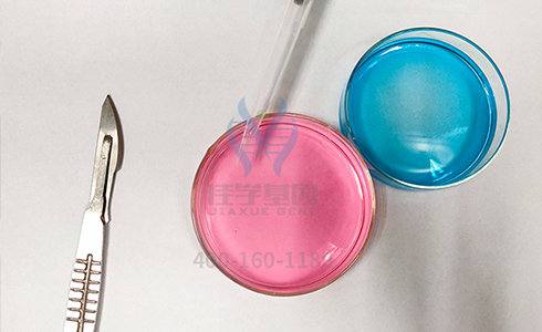 <b>【佳學(xué)基因檢測(cè)</b>