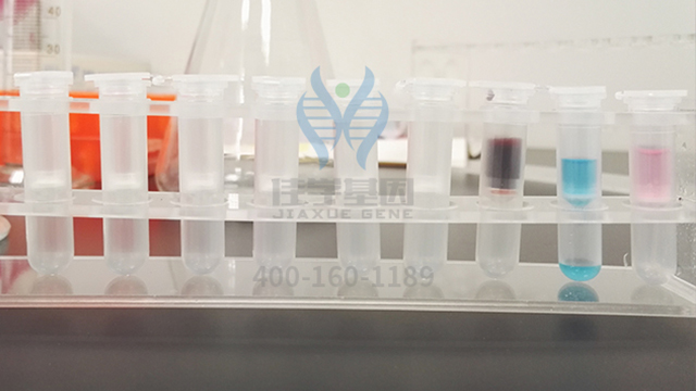 <b>【佳學(xué)基因檢測(cè)</b>