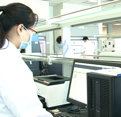 染色體疾病篩查DMD存在突變，如何理解？