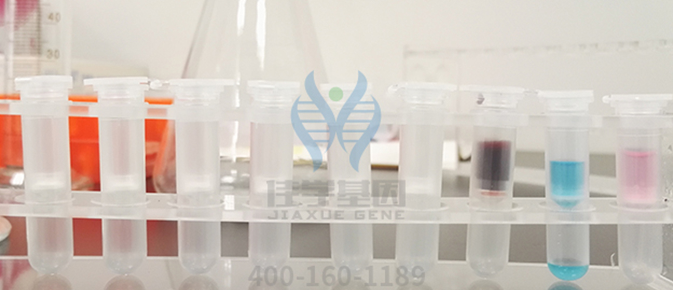 <b>【佳學(xué)基因檢測(cè)</b>