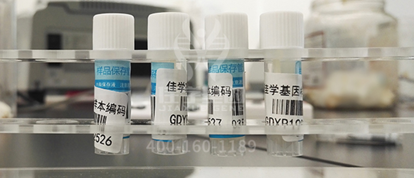 <b>【佳學(xué)基因檢測(cè)</b>