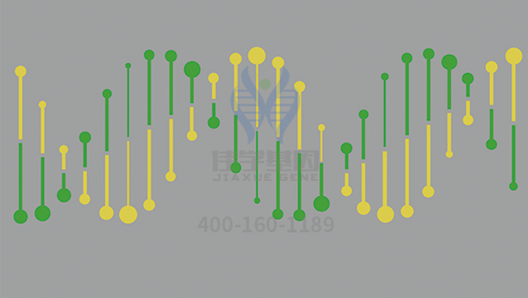 微陣列突變檢測(cè)S1PR3突變的結(jié)果高效嗎？