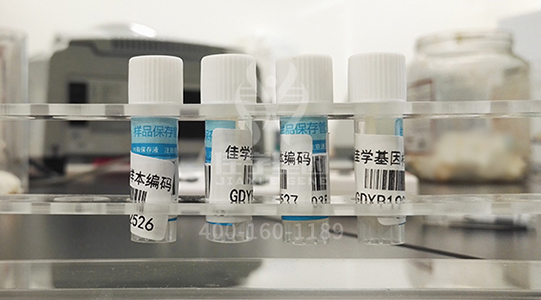 分子病理檢測(cè)包沒有包含EIF2D基因怎么辦？