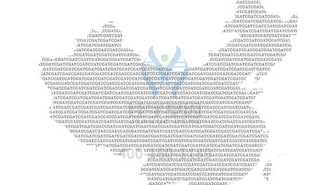 分子病理檢測套餐是否應(yīng)當(dāng)有LGTN基因？